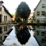 2409F 043 Quelle Brenztopf